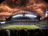 IM电竞投注平台-波尔一锤定音，法国队战术完胜奥地利，唯一性胜利背后的足球哲学