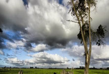 IM电竞APP-延边富德对手石家庄永昌，双方豪强对决谁能胜出？的简单介绍