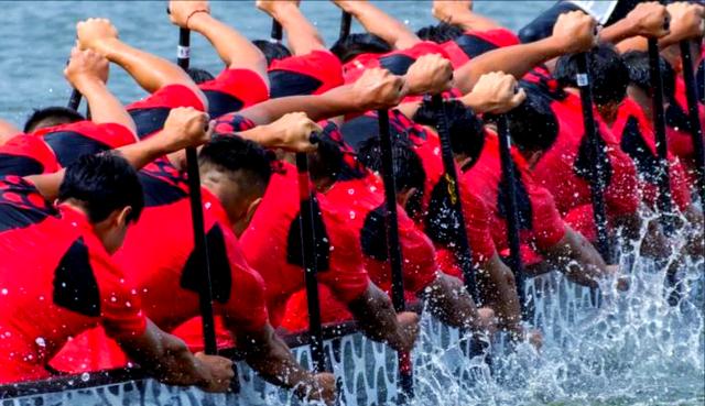 球队再次夺冠,取得辉煌成绩 球队再次夺冠,取得辉煌成绩