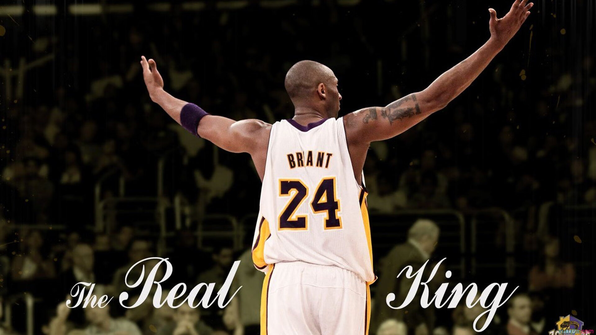 辽宁队末节带走奇才，布克成为关键先生